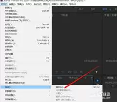 Adobe Premiere Pro 2020��Ƶ��������ָ��