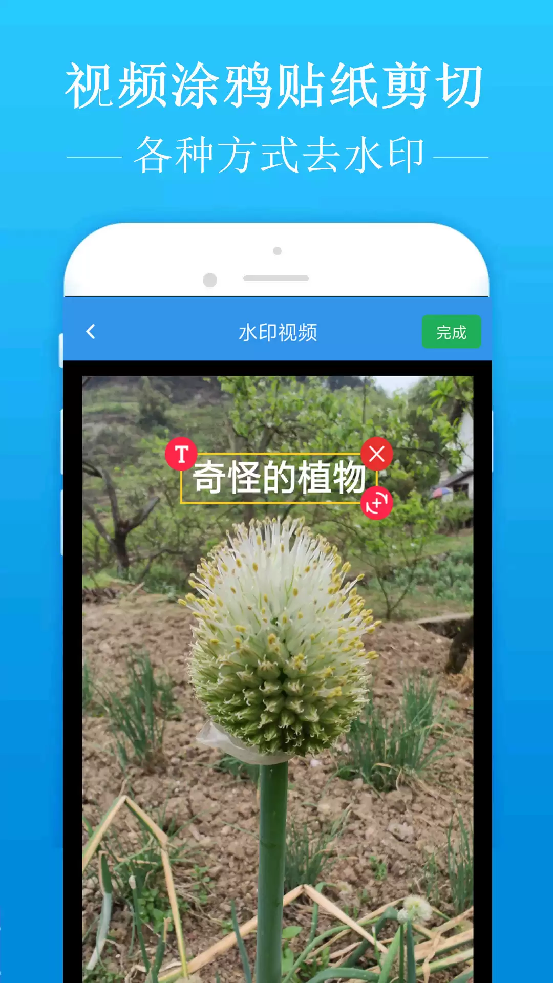 免费去水印软件排行榜与好用推荐_wishdown.com 免费去水印软件排行榜与好用推荐_wishdown.com
