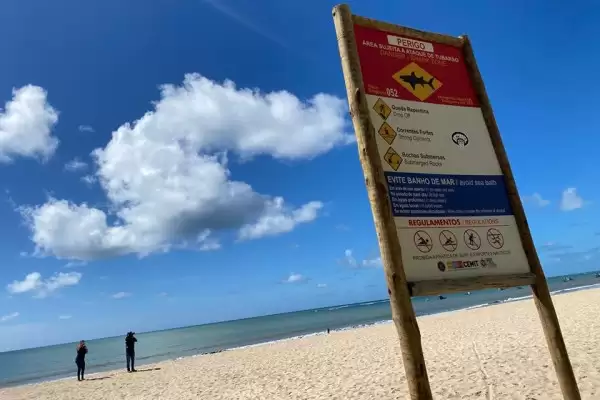 ����19��Ů�Ӻ�������ʱ������Ϯ�������ϰ�ʱ�ѱ�ҧ��һ����