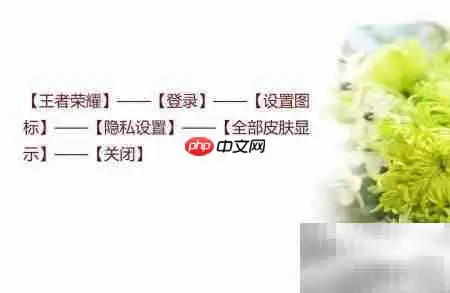 王者荣耀关闭皮肤显示教程_wishdown.com 王者荣耀关闭皮肤显示教程_wishdown.com