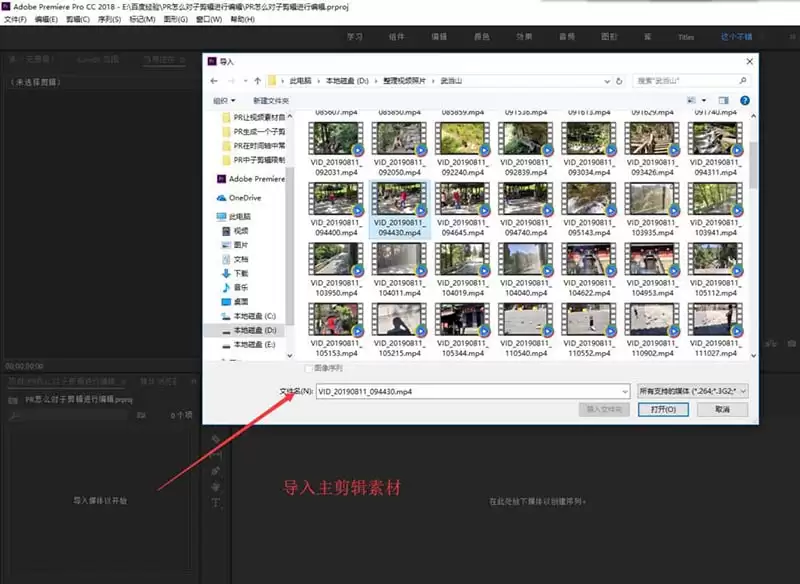 Premiere Pro�Ӽ���������༭����