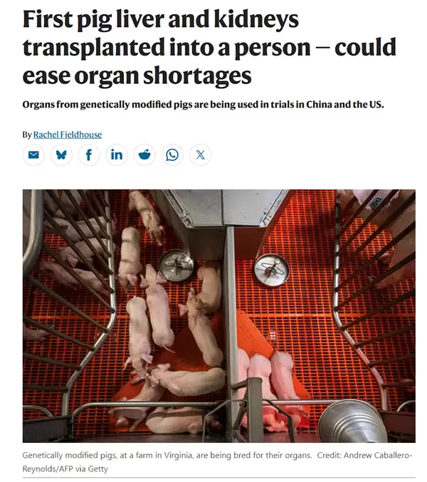 �����״Σ��ҹ��Ŷ�ʵ��������ͬ��������ֲ��������ڿ��ص㱨��