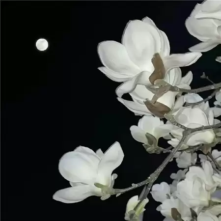 г���˸�Ů����������Щ����ѡ100���������Ƽ�