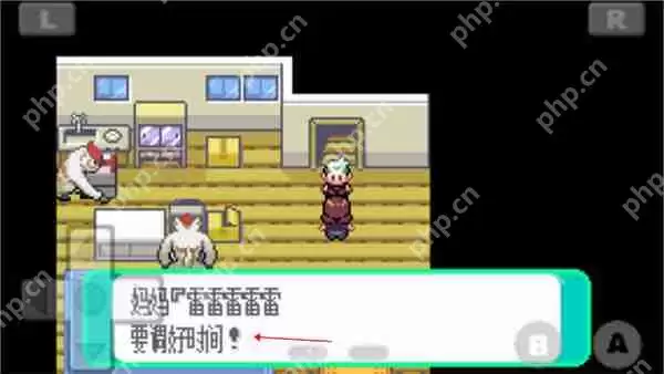 口袋妖怪绿宝石493版时间设置方法_wishdown.com 口袋妖怪绿宝石493版设定时间方法攻略