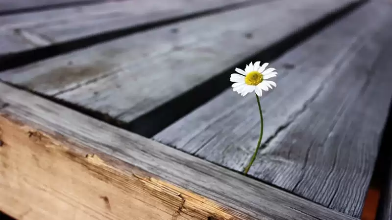��Ȼ�ܰ���������˵����ô�߼�