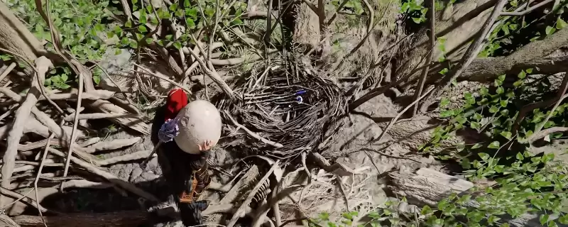 ��ɫɳĮС���������ȡ����