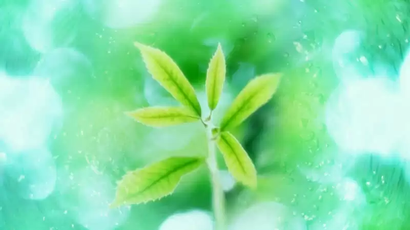��һ������һ����������
