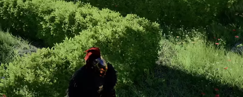 ��ɫɳĮС���ӳ����ȡ����