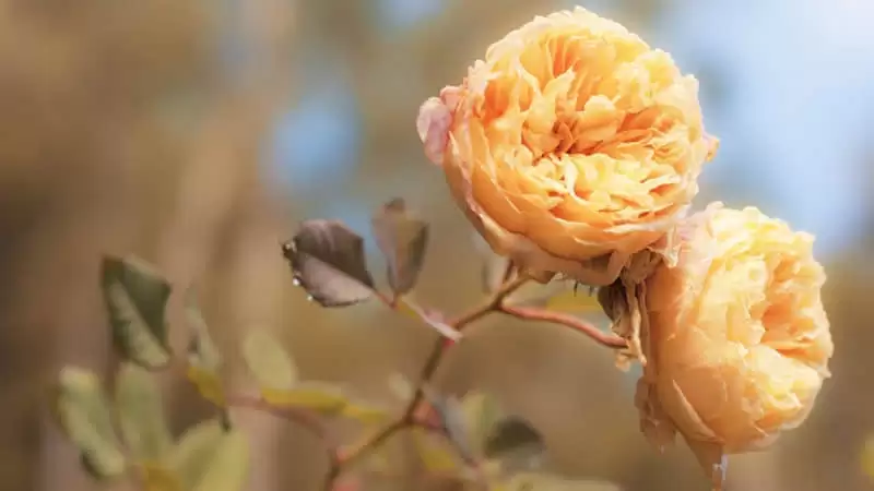 ̤ʵ��Ǯ��Ů������Ȧ����ô��