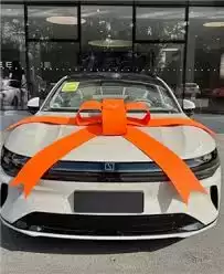 �������App�󶨳�����Ϣ��ϸ����