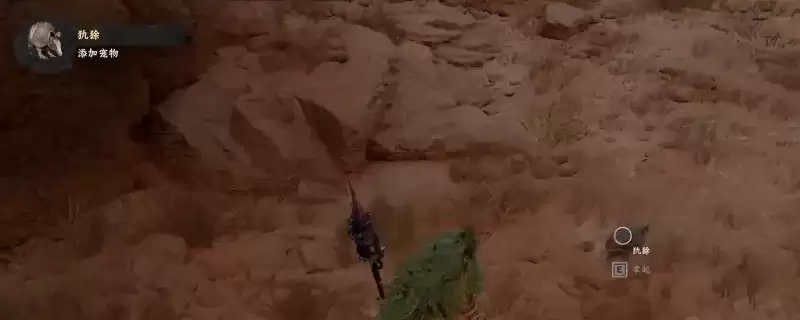��ɫɳĮ���������ȡ�������