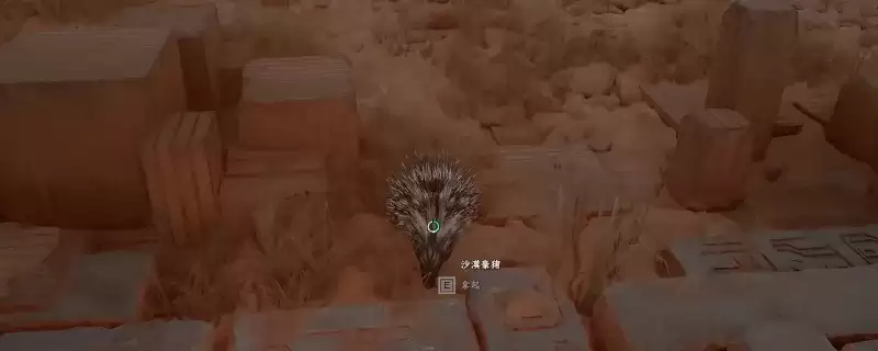 ��ɫɳĮ���������ȡ�������