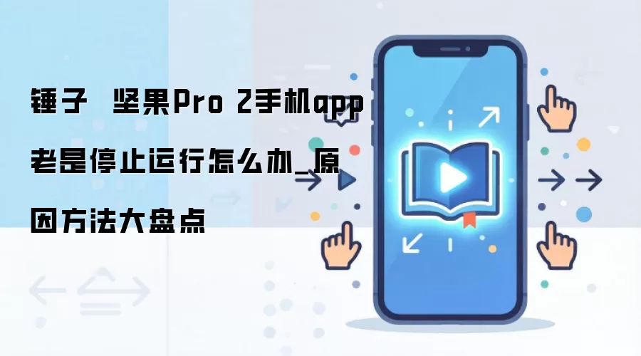 ���Pro 2Ӧ��Ƶ��ֹͣ������ô�죿ԭ����������ȫ����