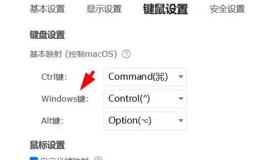 ToDesk远程控制Windows键设置教程_wishdown.com ToDesk远程控制Windows键设置教程_wishdown.com
