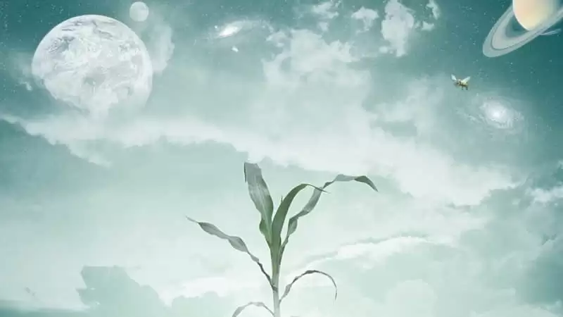 今年很火你却不懂的新梗_wishdown.com 今年很火你却不懂的新梗_wishdown.com