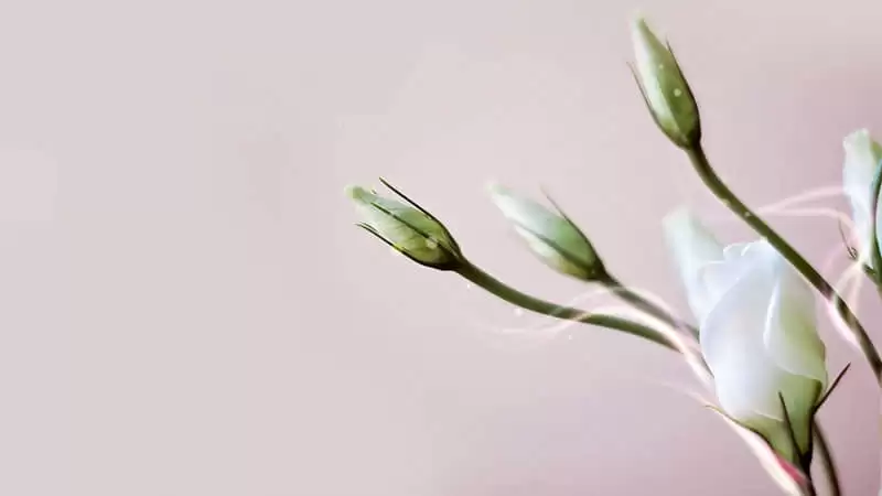 �ұ����Ǻܰ��ܰ����