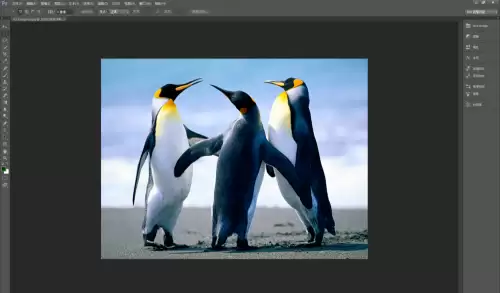 Photoshop CS6ȥ��ͼƬ��ɫ������ϸ�̳�