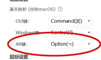 ToDesk远程控制Alt键设置方法详解_wishdown.com ToDesk远程控制Alt键设置方法详解_wishdown.com