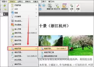 ���PDF�༭���ü�ҳ����ϸ�����̳�