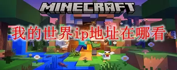 �ҵ�����IP��ַ�鿴����