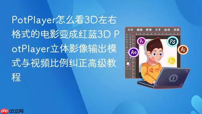 PotPlayer�������Ҹ�ʽ3D��Ӱ���ú�������뻭����������̳�