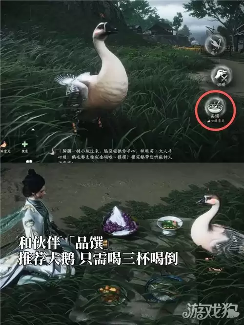 ����ʮ��������гɾʹ�ɹ����뼼��