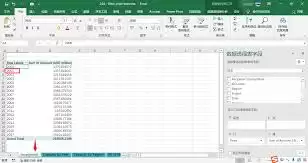 Excel����͸�ӱ���ֵɸѡ����
