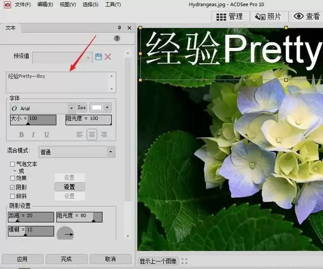 ACDSee图片编辑详细教程_wishdown.com ACDSee图片编辑详细教程_wishdown.com