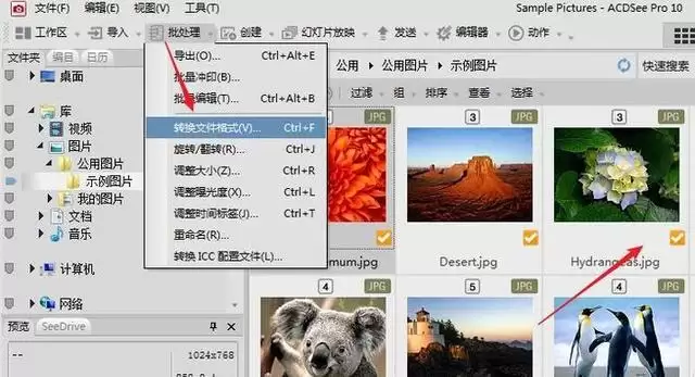 ACDSee图片编辑详细教程_wishdown.com ACDSee图片编辑详细教程_wishdown.com