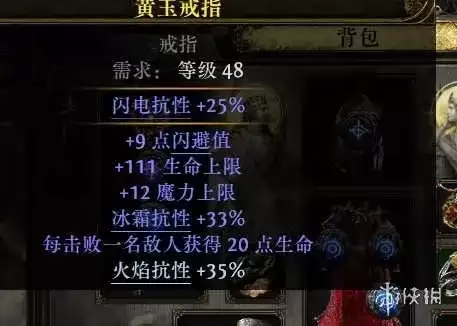 流放之路2 20.5赛季血法自循环残片爆炸BD玩法与装备搭配_wishdown.com 流放之路2 20.5赛季血法自循环残片爆炸BD玩法与装备搭配_wishdown.com