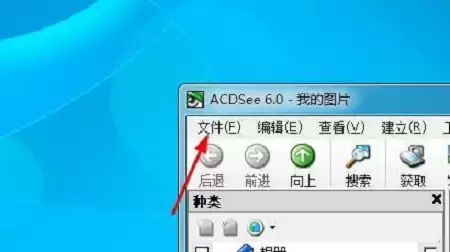 ACDSee�½��ļ��в����������