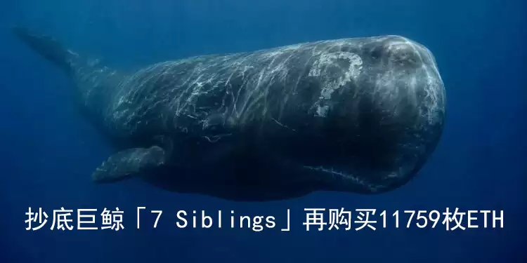 ���׾޾�7Siblings����11759ETH ����1000��U