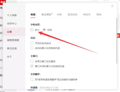 有道词典大字体设置教程与步骤详解_wishdown.com 有道词典大字体设置教程与步骤详解_wishdown.com