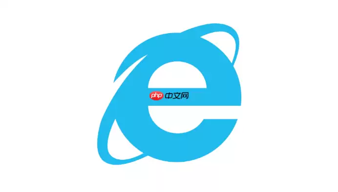 ������β鿴IE������汾��������ϸ����