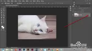 Photoshop滤镜添加方法新手入门详细步骤与技巧教程_wishdown.com 如何添加Photoshop滤镜