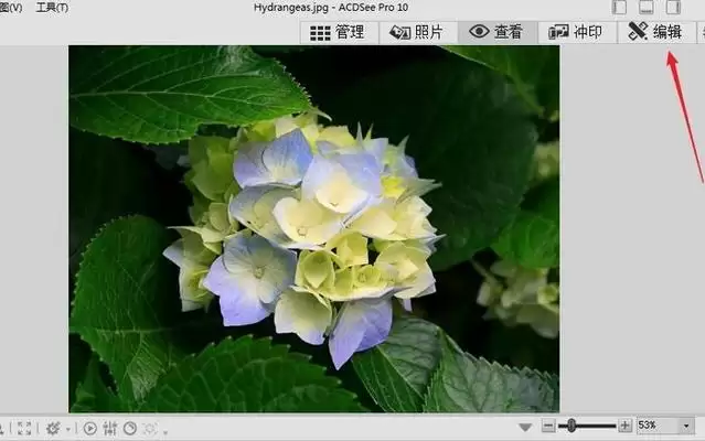 ACDSee图片编辑详细教程_wishdown.com ACDSee图片编辑详细教程_wishdown.com