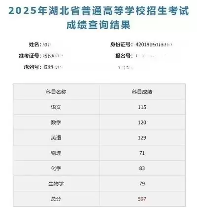 2026年湖北高考查分具体时间已公布_wishdown.com 2026湖北高考查分时间