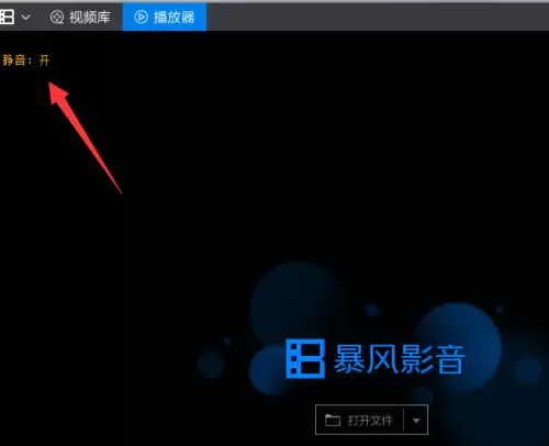 暴风影音静音模式开启方法详解_wishdown.com 暴风影音静音模式开启方法详解_wishdown.com