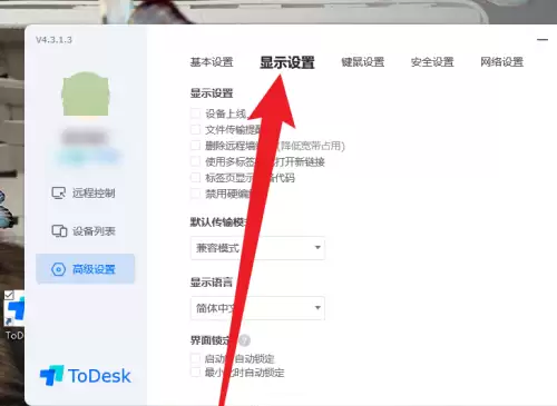 ToDesk设备代码显示设置教程_wishdown.com ToDesk设备代码显示设置教程_wishdown.com
