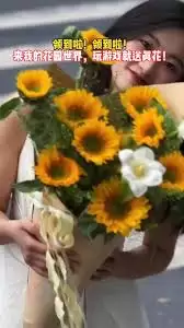 花园世界合欢花种植体验与效果评价_wishdown.com 花园世界合欢花种植体验与效果评价_wishdown.com