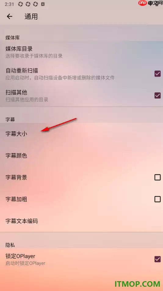 OPlayer手机版字幕调大显示设置方法_wishdown.com OPlayer手机版字幕调大显示设置方法_wishdown.com