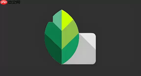 Snapseed��Ƭ�ݵر��̵ĵ�ɫ����