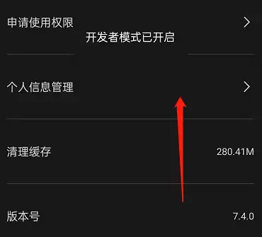剪映专业版开启开发者模式详细教程_wishdown.com 剪映专业版开启开发者模式详细教程_wishdown.com