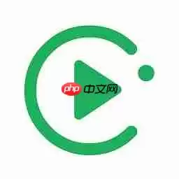 OPlayer手机版字幕颜色更改设置教程_wishdown.com OPlayer手机版字幕颜色更改设置教程_wishdown.com