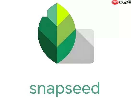 SnapseedϦ����Ӱ��ͼ�̳�