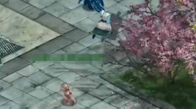 �ǳ����������봽��� ��������븶�ѻ��ƽ���