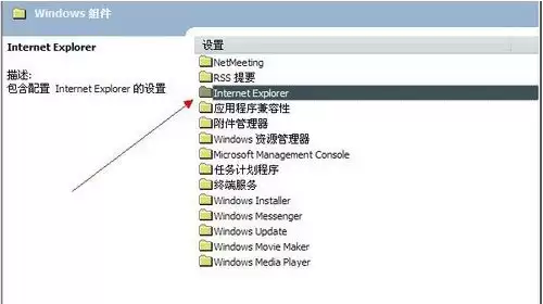 IE主页被恶意锁定的有效破解方法_wishdown.com IE被恶意锁定的破解方法