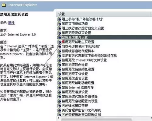 IE主页被恶意锁定的有效破解方法_wishdown.com IE被恶意锁定的破解方法
