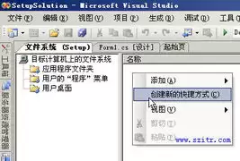 如何在Visual Studio中正确将字符串null值转化为空值的方法_wishdown.com 如何在Visual Studio中正确将字符串null值转化为空值的方法_wishdown.com