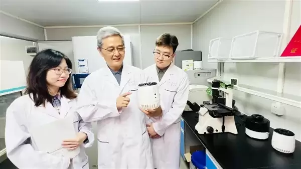 花20年让蚊子断子绝孙!南医大团队用基因技术把雌蚊变雄蚊 使蚊群自行崩溃_wishdown.com 花20年让蚊子断子绝孙!南医大团队用基因技术把雌蚊变雄蚊 使蚊群自行崩溃_wishdown.com